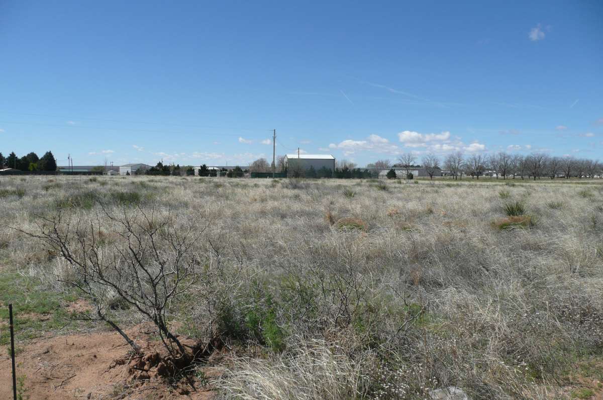 3002 Grayling Lane, Logan, NM 88426