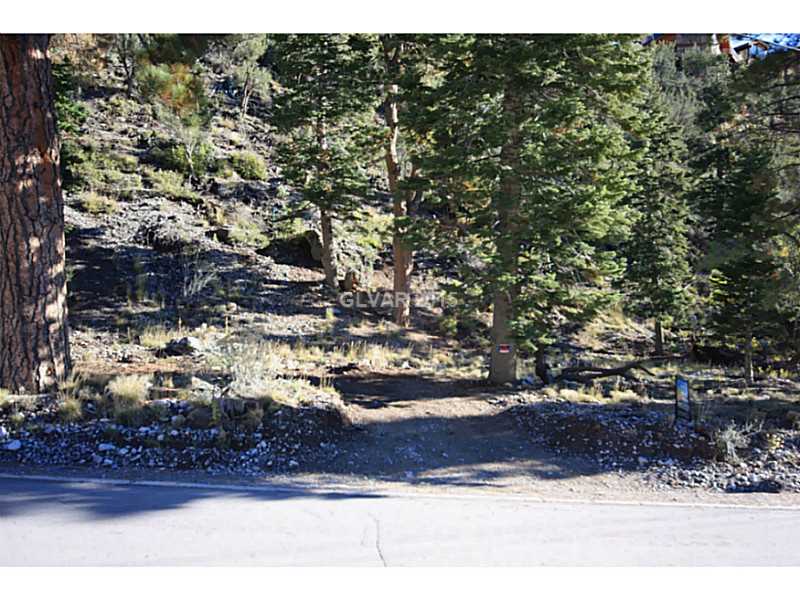 408 ECHO Road, Other, NV 89124
