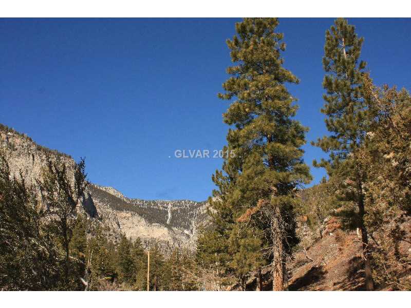 408 ECHO Road, Other, NV 89124
