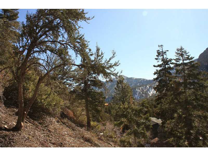 408 ECHO Road, Other, NV 89124