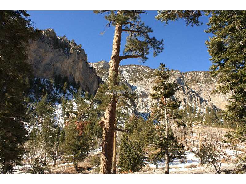 408 ECHO Road, Other, NV 89124