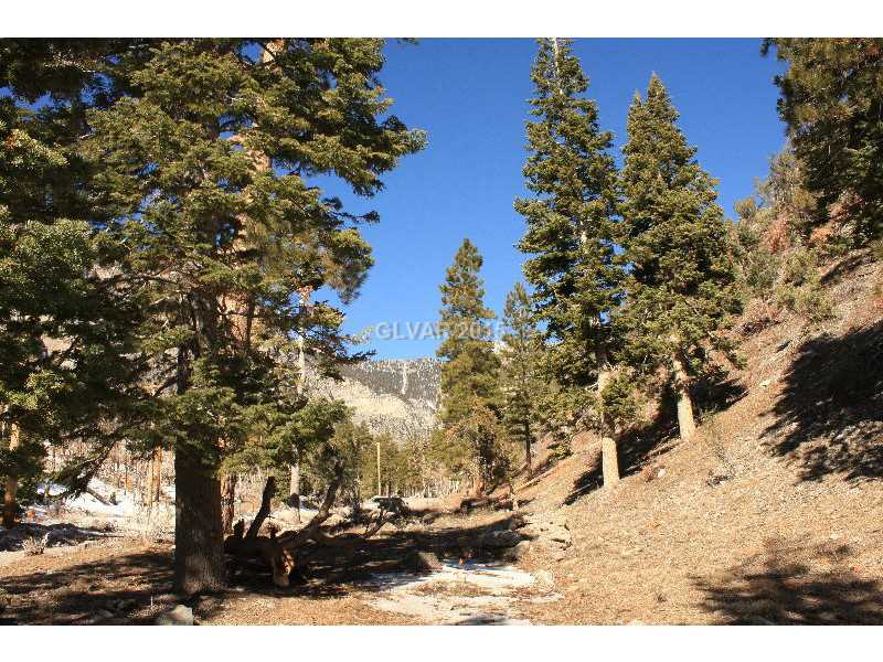 408 ECHO Road, Other, NV 89124