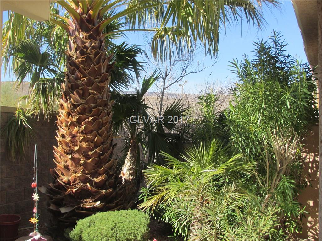10557 PREMIA Place, Las Vegas, NV 89135