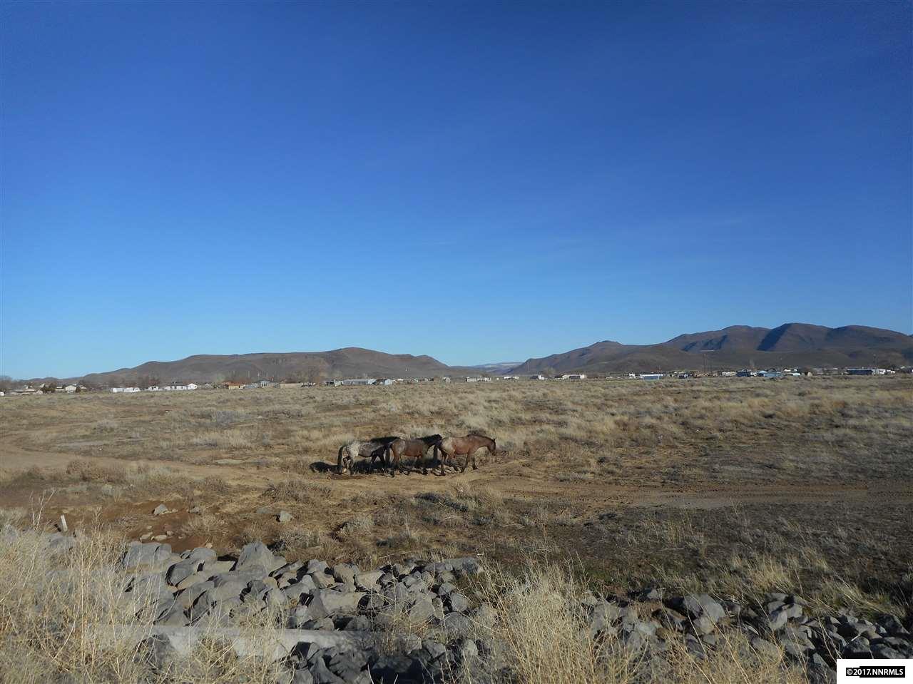 2072 Lonnie Ln, Dayton, NV 89403