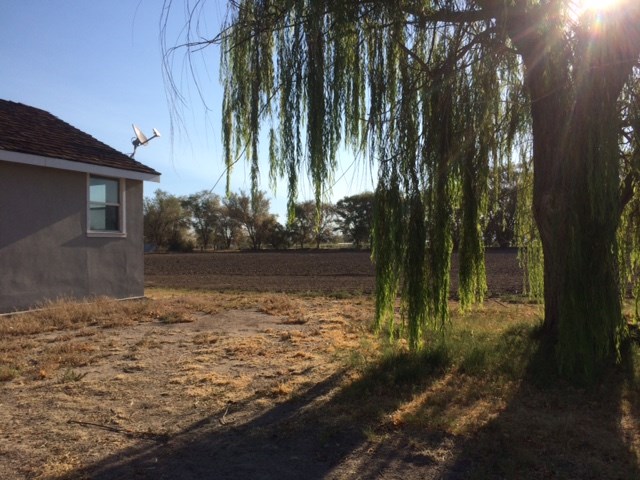 4455SCHURZ HIGHWAY, Fallon, NV 89406