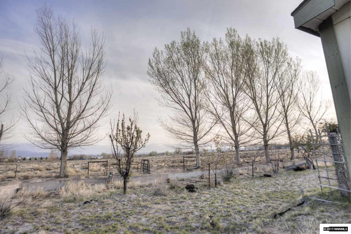 2290 E Badger St., Silver Springs, NV 89429