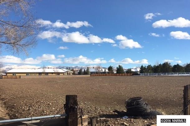 989Rubio, Gardnerville, NV 89460