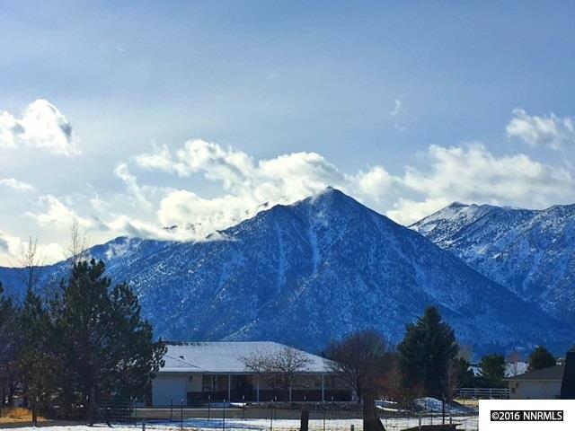 989Rubio, Gardnerville, NV 89460