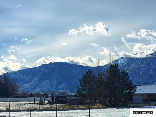 989Rubio, Gardnerville, NV 89460
