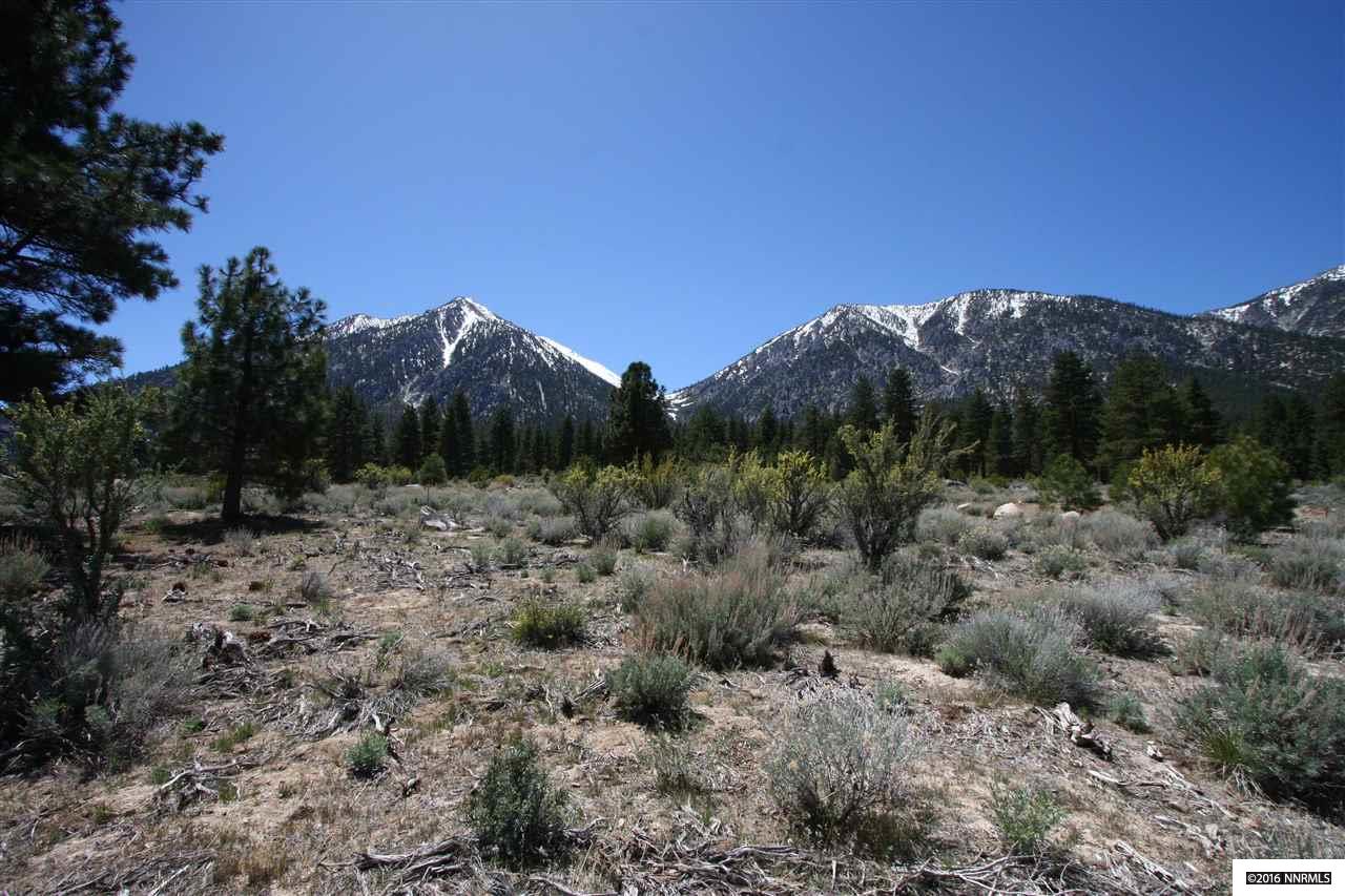 68Five Creek Road , Gardnerville, NV 89460