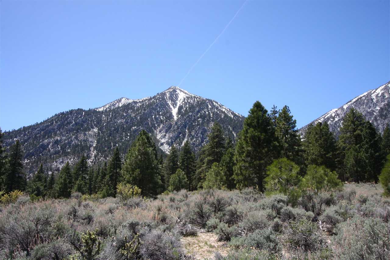86Five Creek Road , Gardnerville, NV 89460