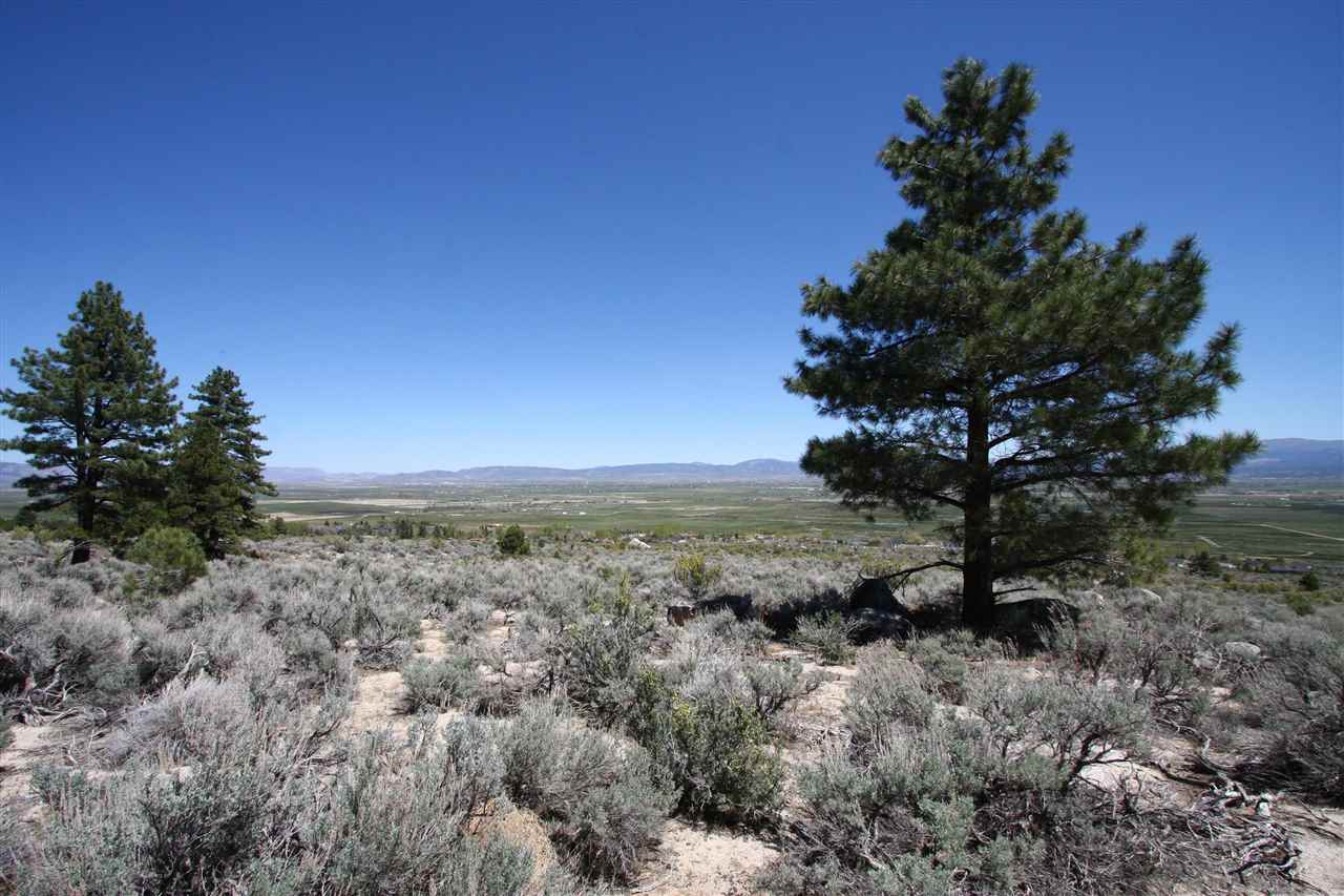 86Five Creek Road , Gardnerville, NV 89460