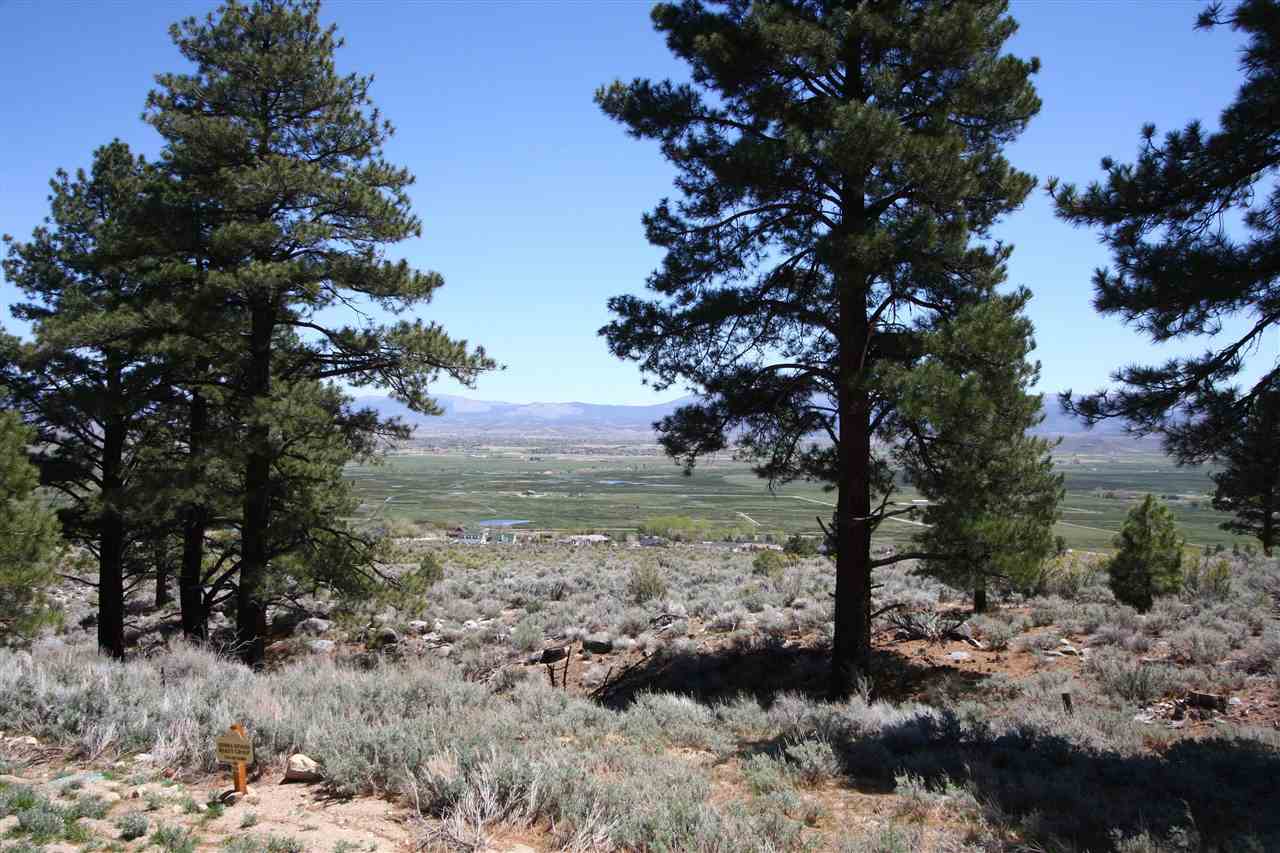 86Five Creek Road , Gardnerville, NV 89460