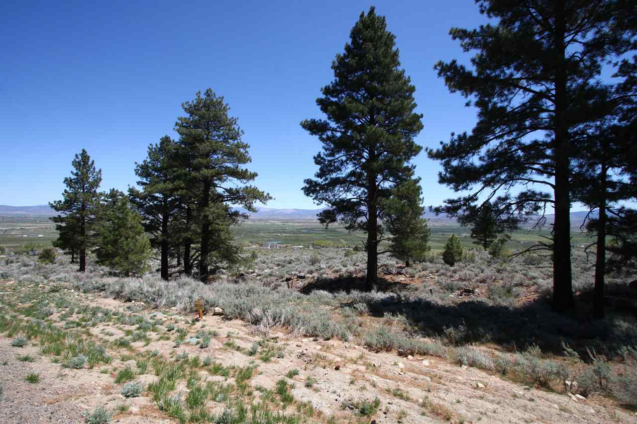 86Five Creek Road , Gardnerville, NV 89460