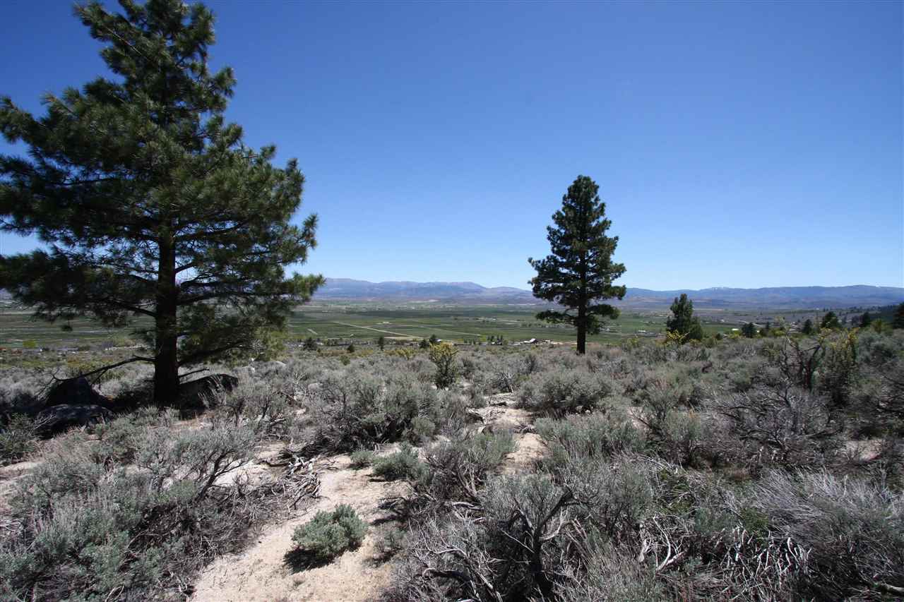 86Five Creek Road , Gardnerville, NV 89460