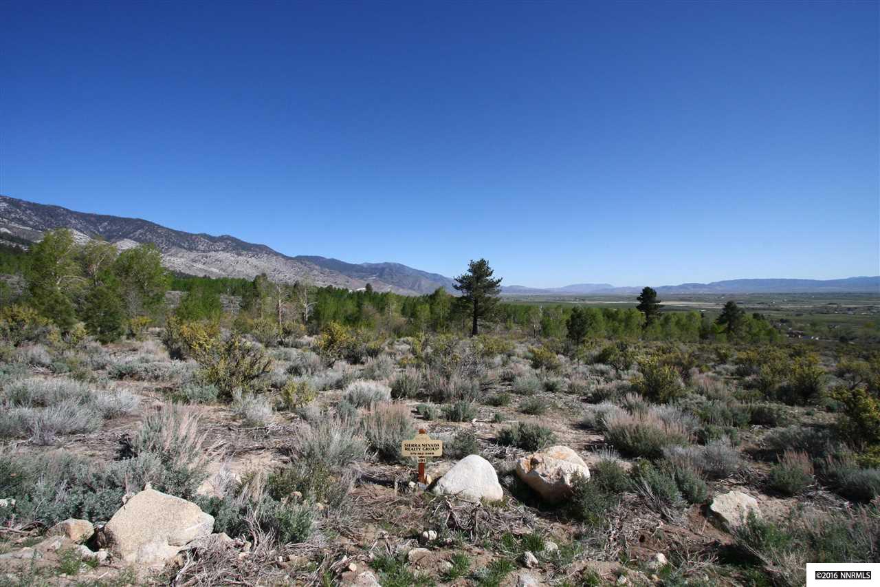 65Five Creek Rd , Gardnerville, NV 89460