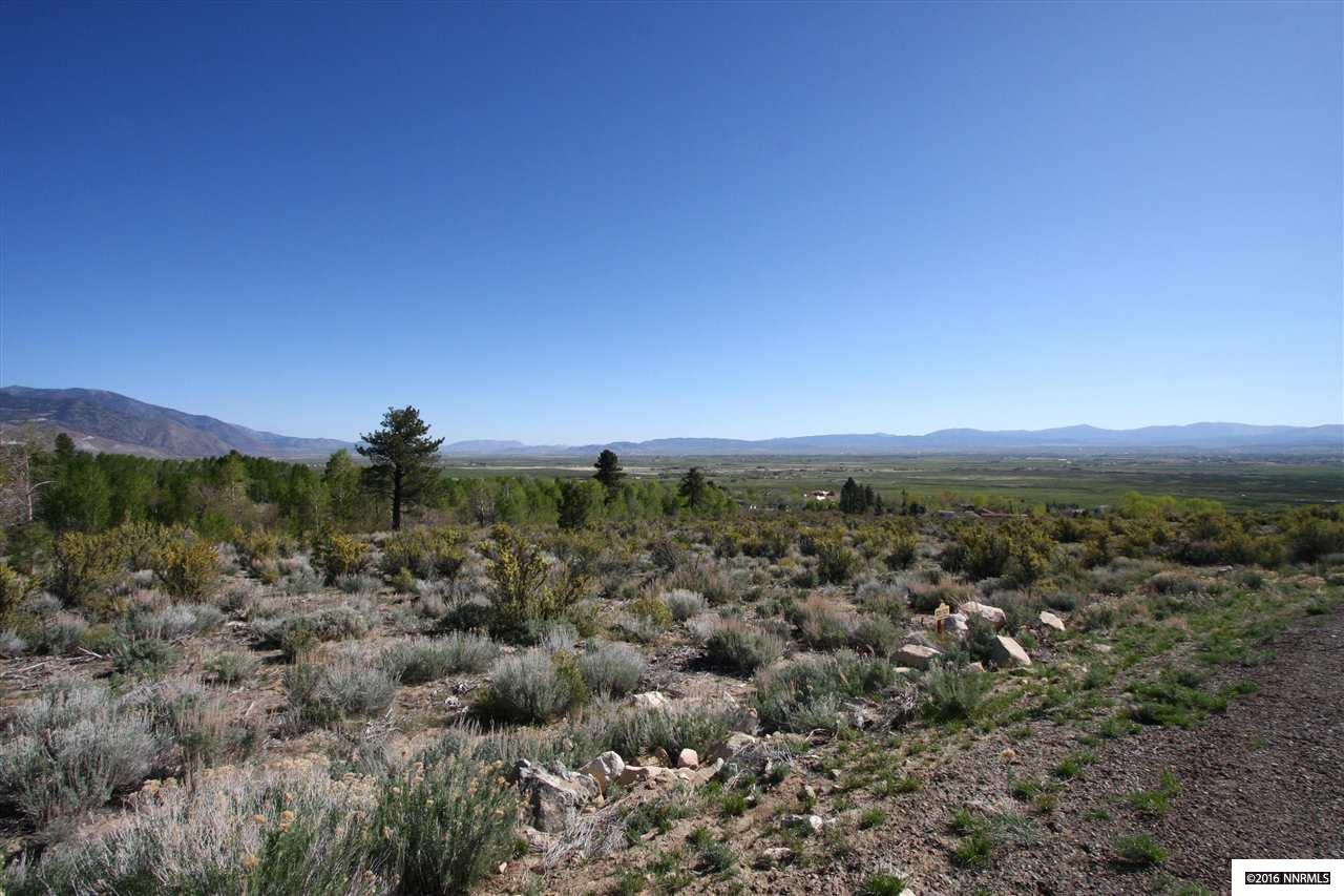 65Five Creek Rd , Gardnerville, NV 89460