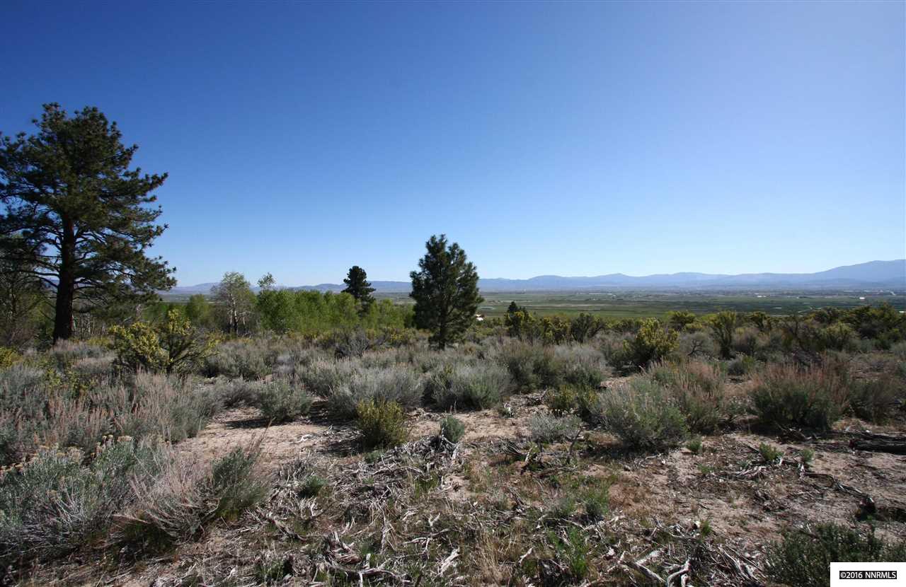 65Five Creek Rd , Gardnerville, NV 89460