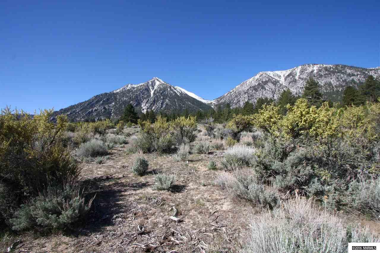 65Five Creek Rd , Gardnerville, NV 89460