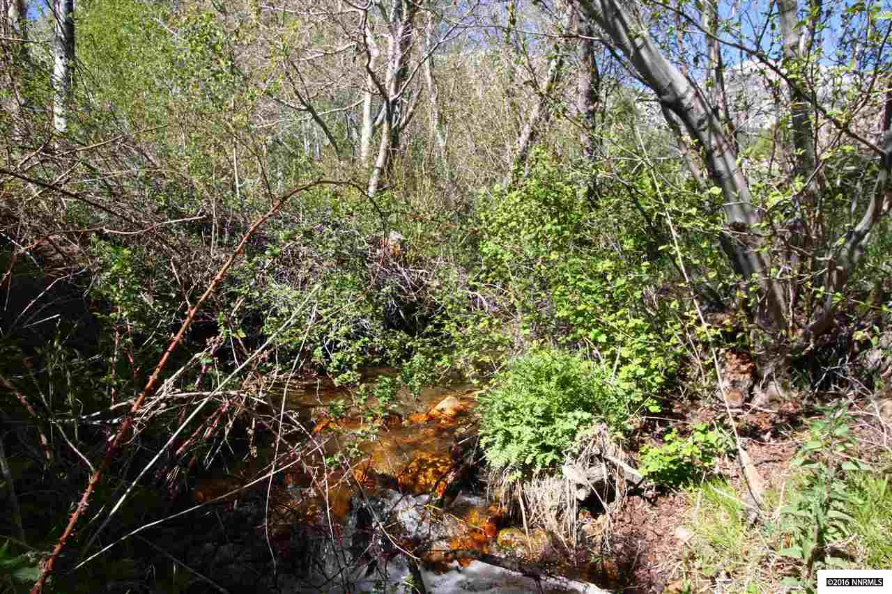 65Five Creek Rd , Gardnerville, NV 89460