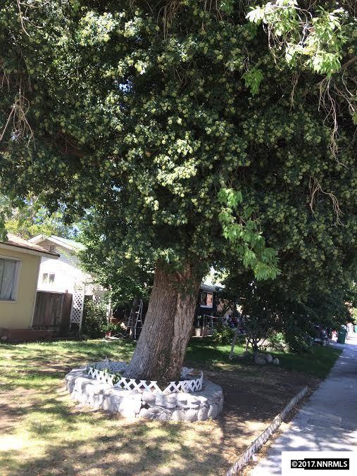 1055Goldfield Street, Reno, NV 89512