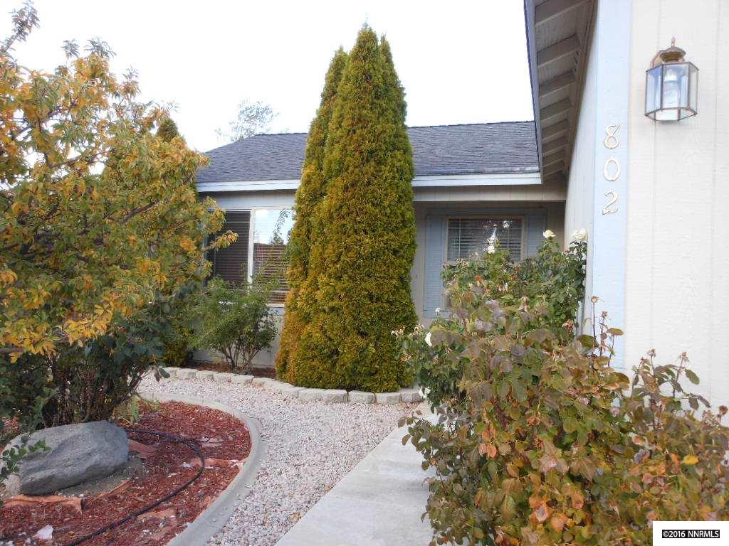 802 Tonka Ln, Carson City, NV 89701