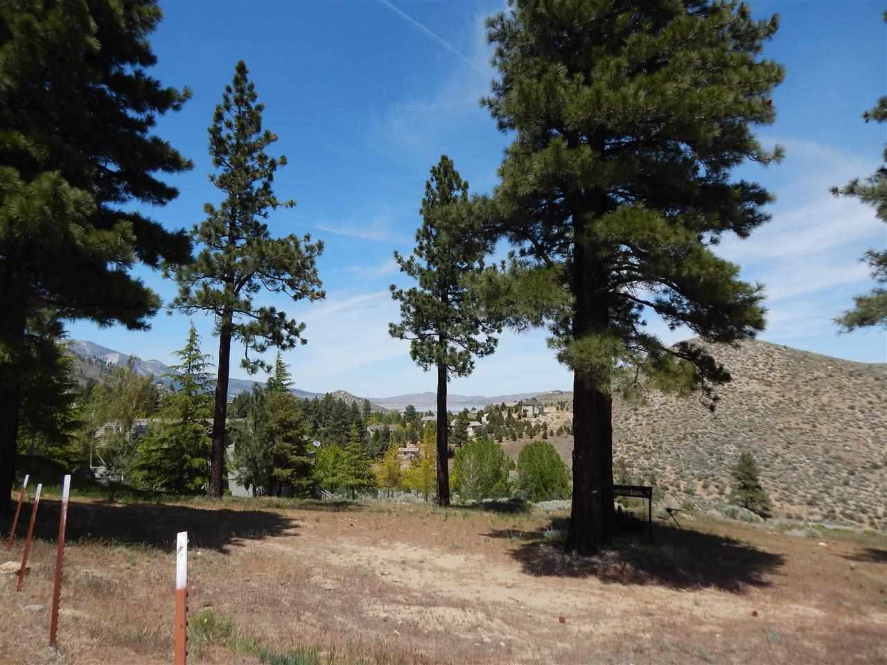 4028Via Grant Drive, Carson City, NV 89703
