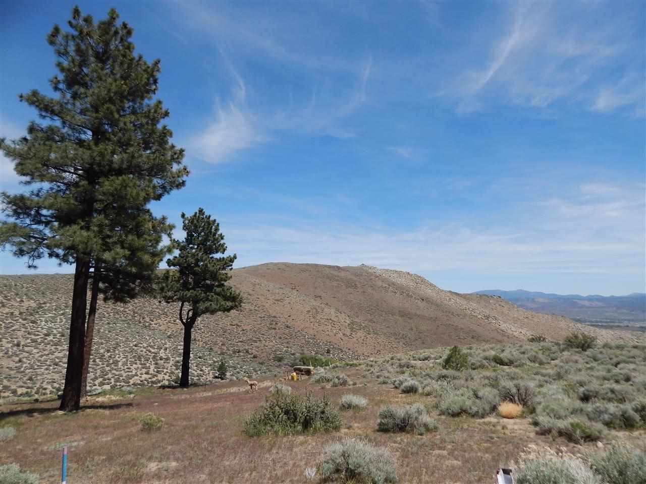 4101Weise Road, Carson City, NV 89703