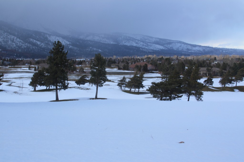 7360Franktown Rd., Washoe Valley, NV 89704