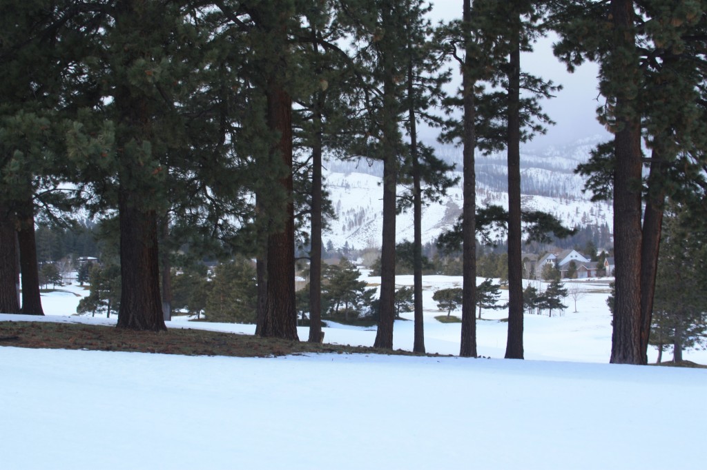 7360Franktown Rd., Washoe Valley, NV 89704