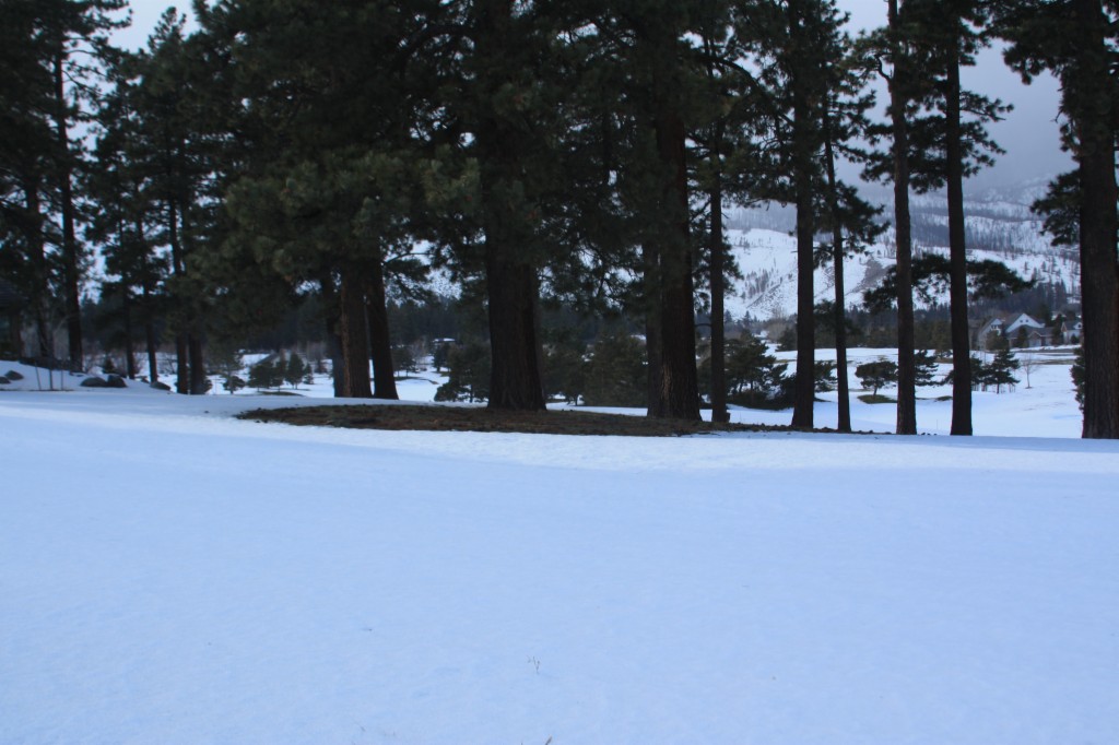 7360Franktown Rd., Washoe Valley, NV 89704