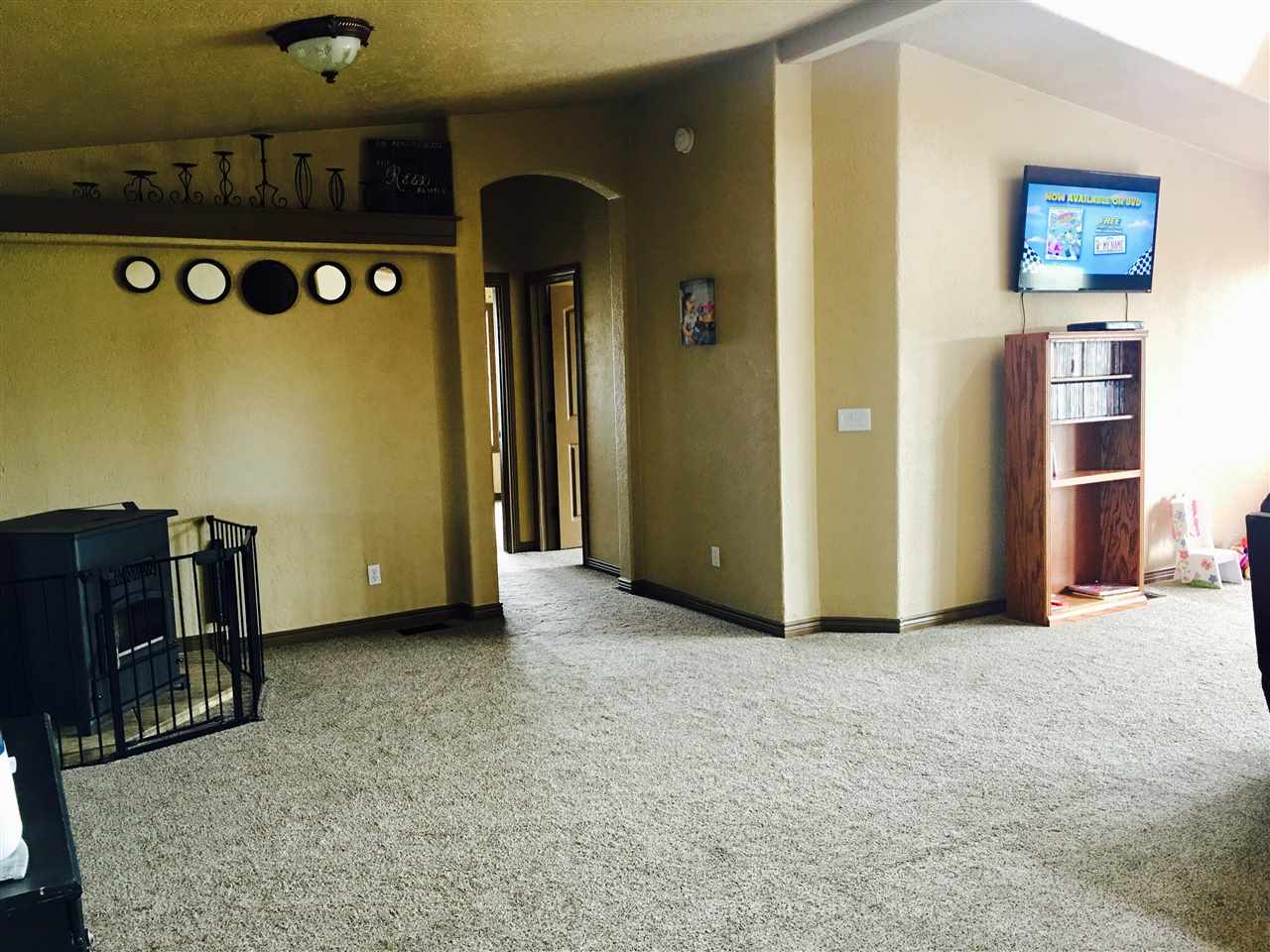 338 Flora Dr, Spring Creek, NV 89815