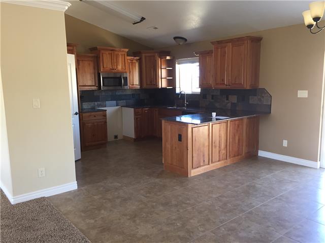 973 Alpine DrSpring Creek, NV, 89815Elko County