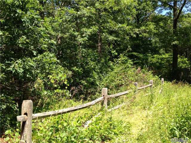 Maple Ave, Shirley, NY 11967