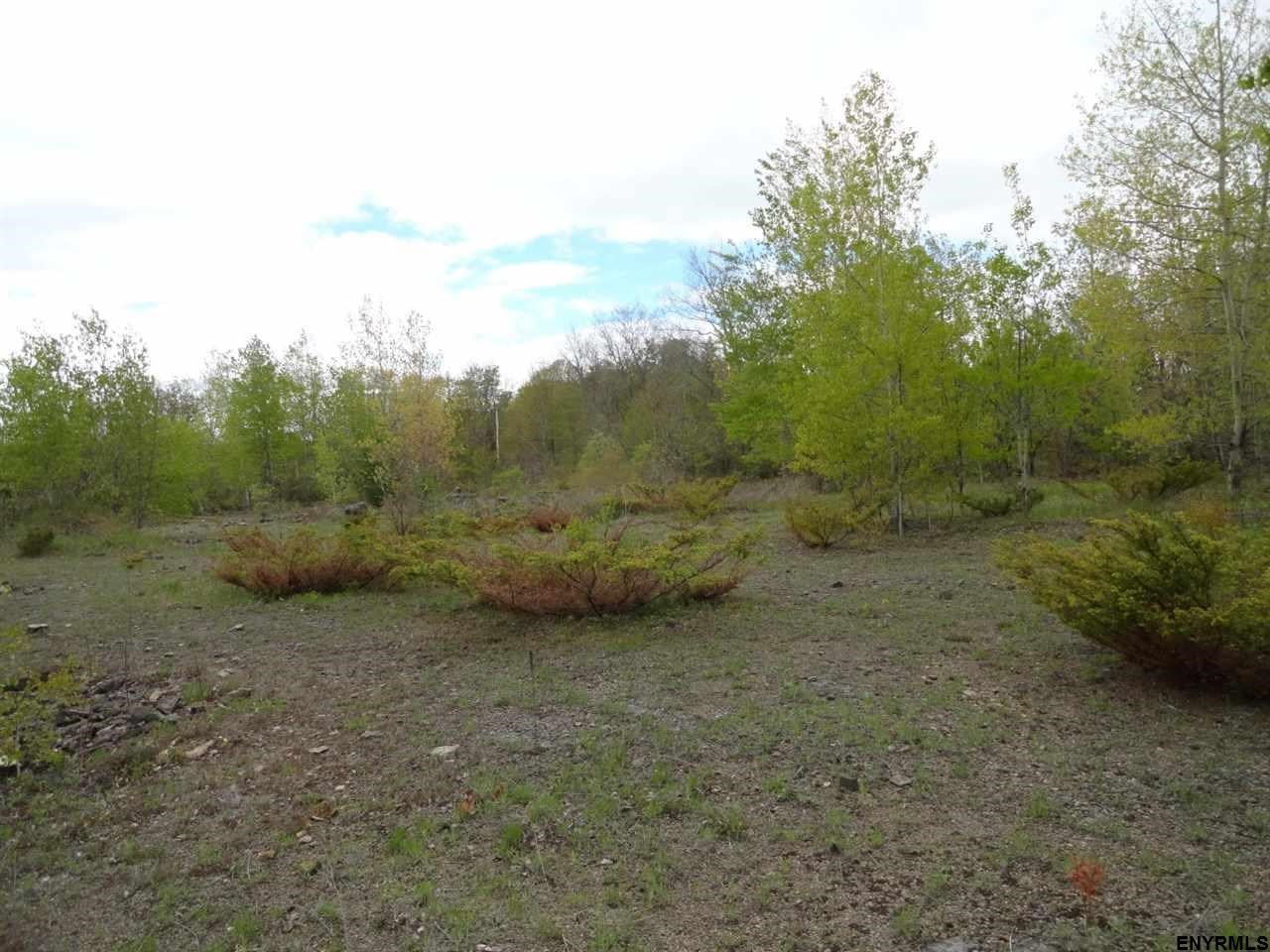 1912 BERNE ALTAMONT RD, Knox, NY 12009