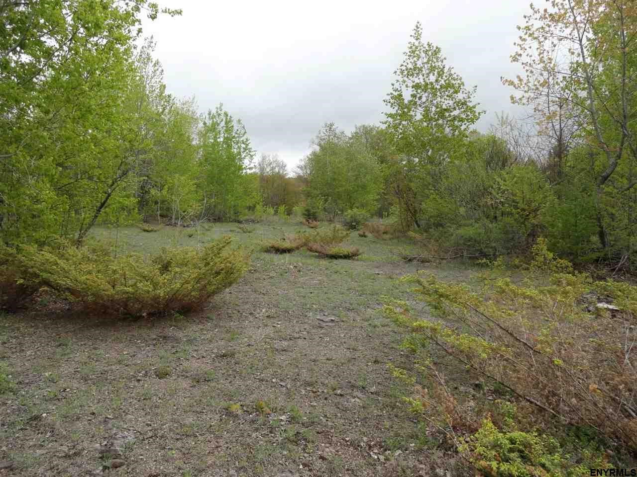 1912 BERNE ALTAMONT RD, Knox, NY 12009