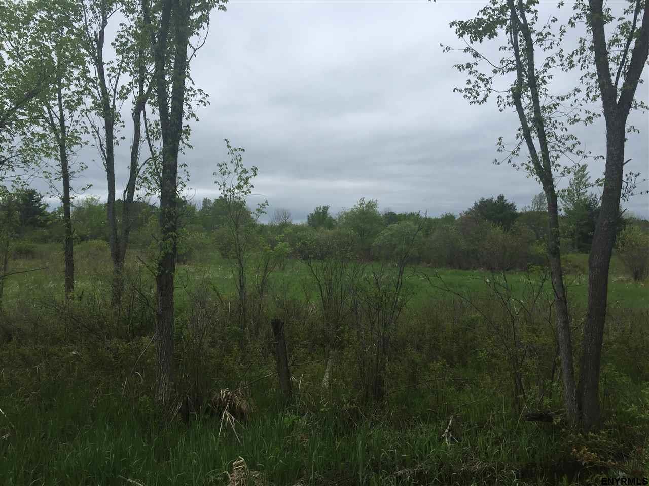 00 BEEBE RD, Knox, NY 12017