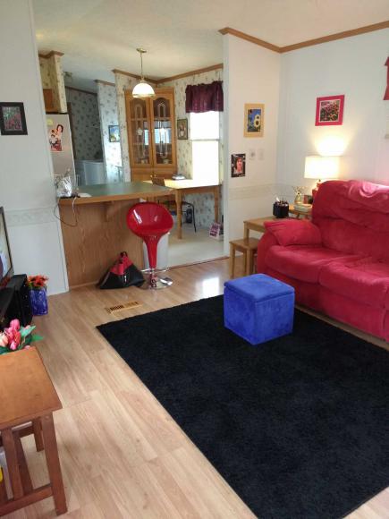 45 Curtis Drive ,NY, Castleton, 12033