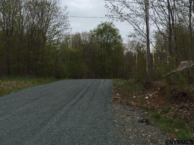 44  BLUEBERRY RIDGE RD, Grafton, NY 12052