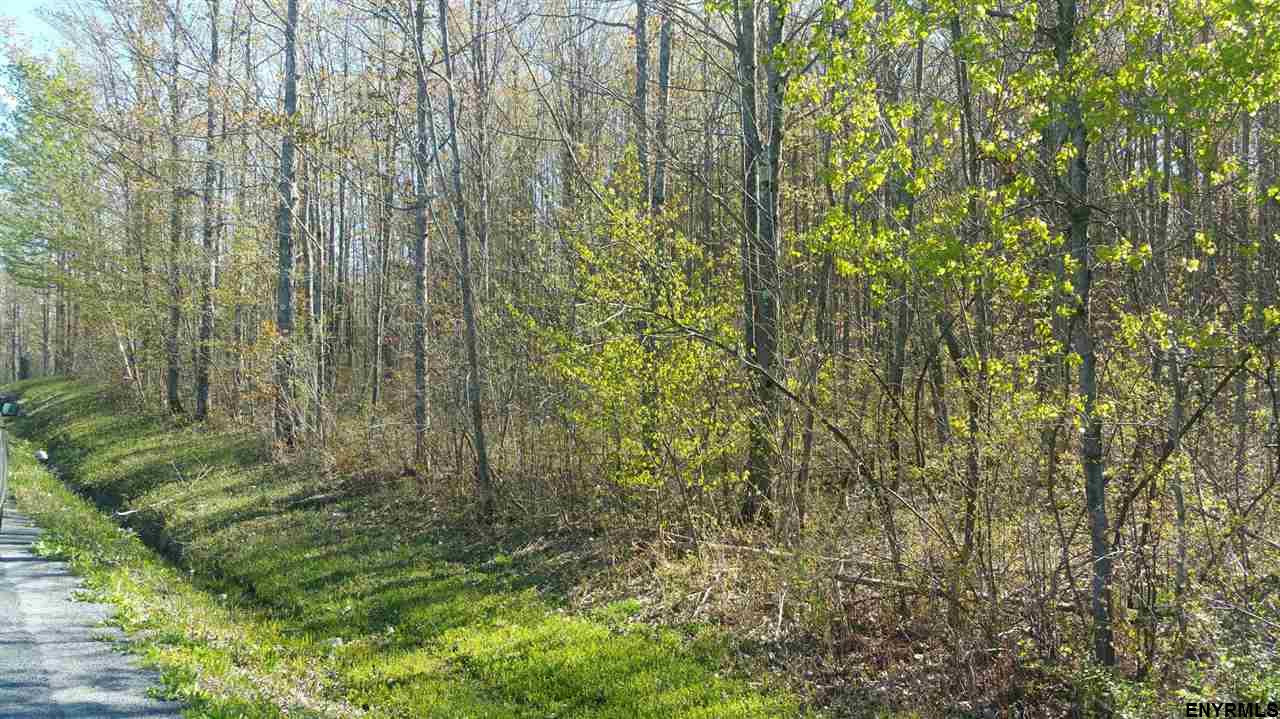 00 WEST WIND RD, Knox, NY 12053