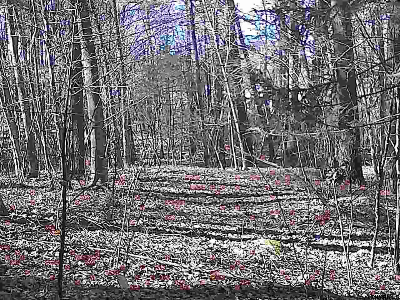 00 GALE HILL RD, Nassau, NY 12062