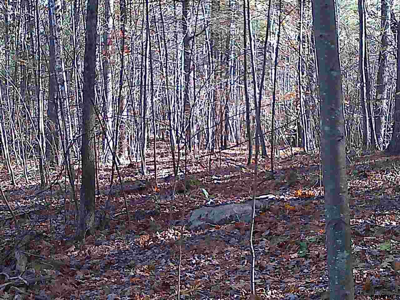 00 GALE HILL RD, Nassau, NY 12062
