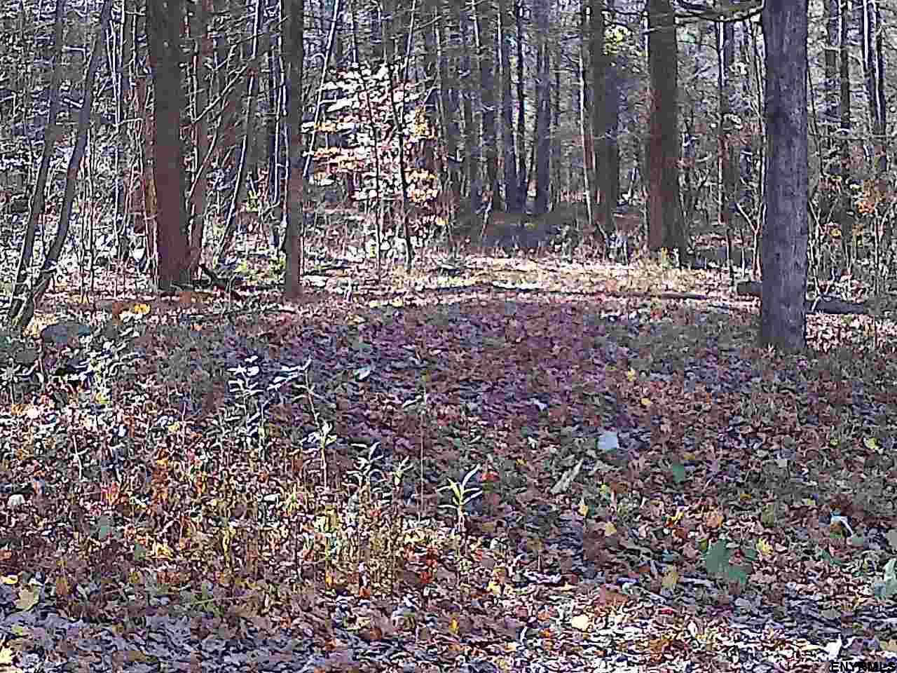 00 GALE HILL RD, Nassau, NY 12062