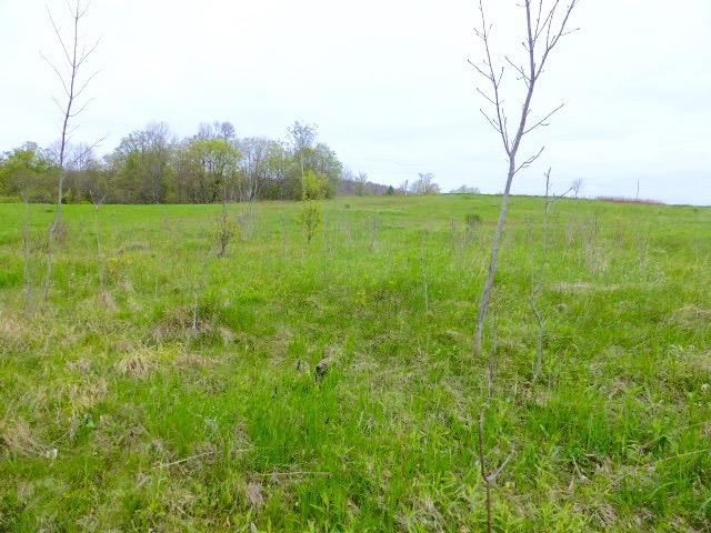0 Blackberry Street, Gilboa, NY 12076