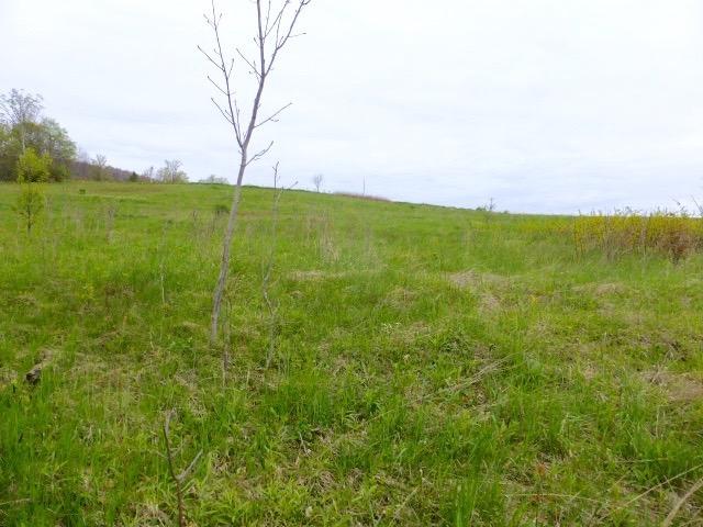 0 Blackberry Street, Gilboa, NY 12076