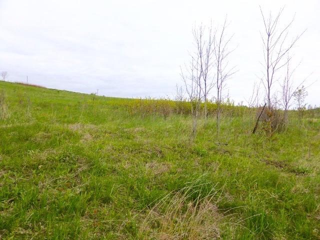 0 Blackberry Street, Gilboa, NY 12076