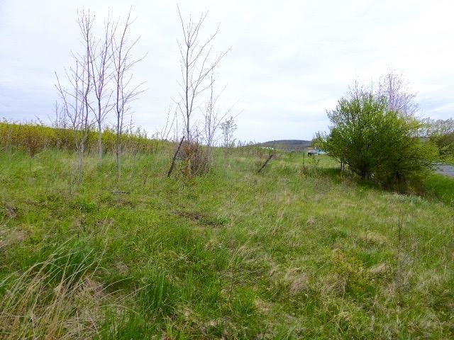0 Blackberry Street, Gilboa, NY 12076