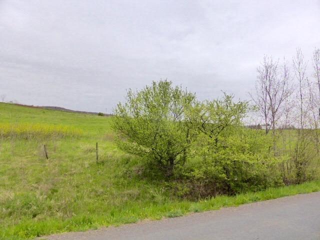 0 Blackberry Street, Gilboa, NY 12076