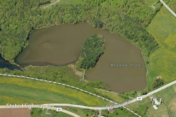 0 Blackberry Street, Gilboa, NY 12076