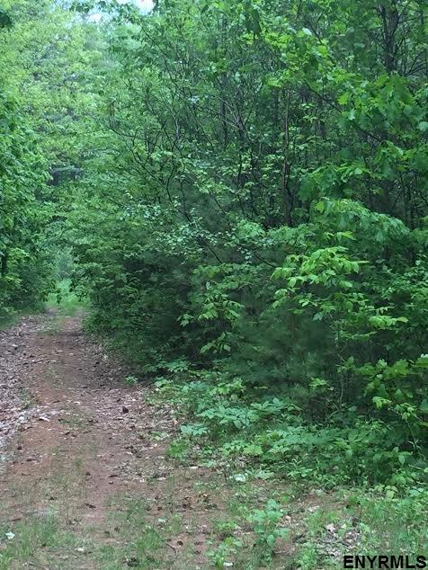 TURKEY FARM RD, Mayfield, NY 12078